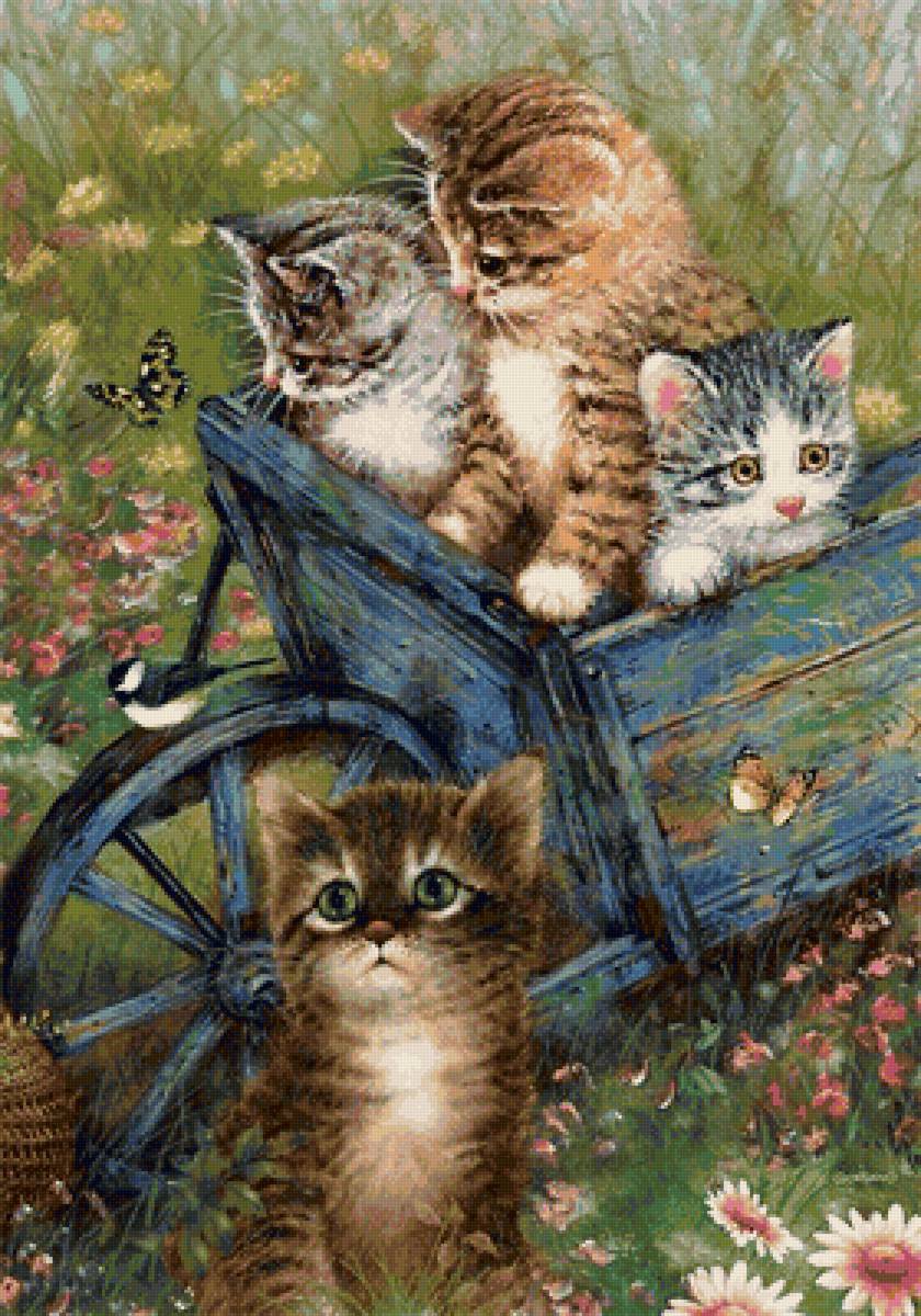 котята - котята, природа, бабочки, лето, цветы - предпросмотр