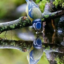 Схема вышивки «отражение»