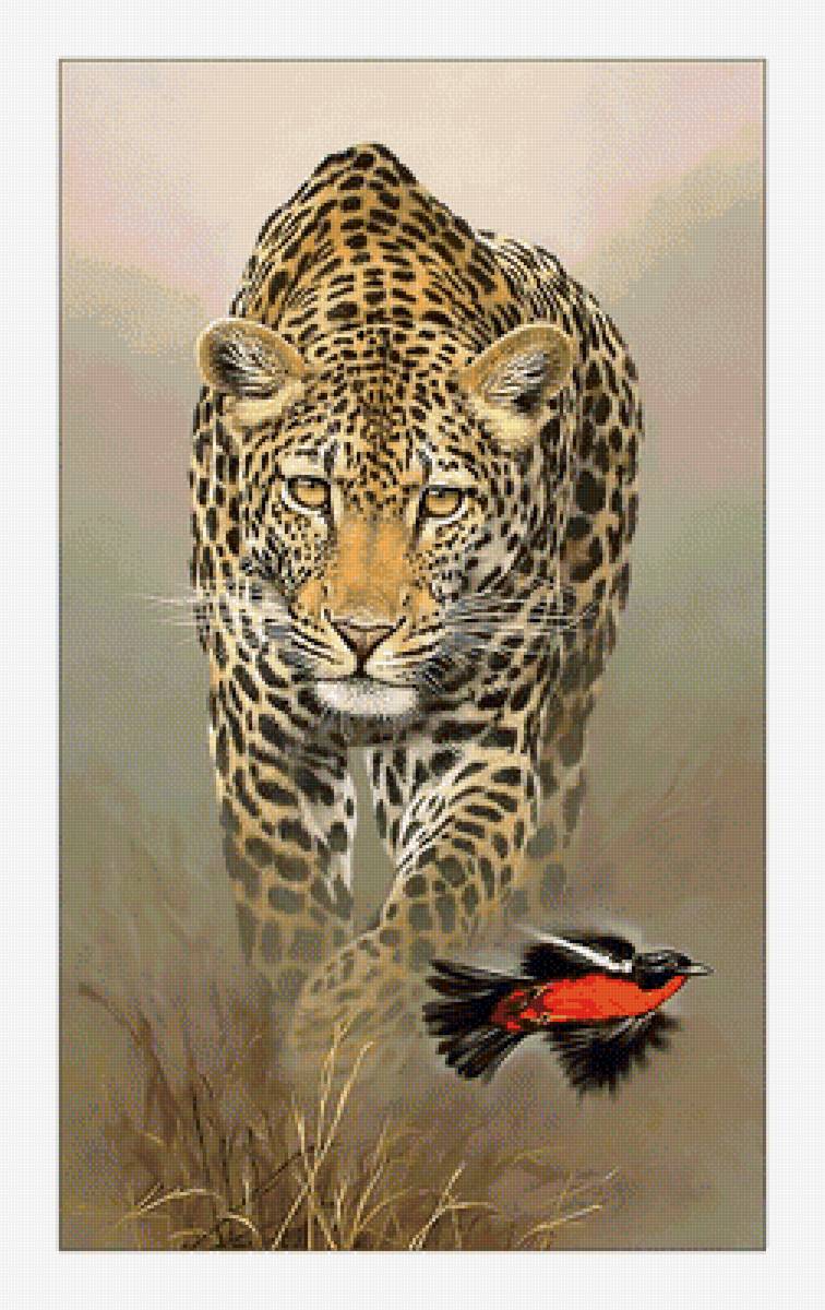 Леопард. - птичка, леопард, хищник, живопись - предпросмотр