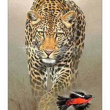Схема вышивки «Леопард.»