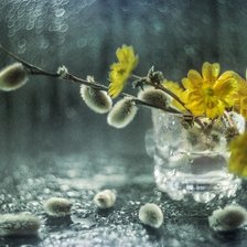 Схема вышивки «натюрморт»