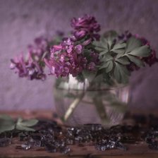 Схема вышивки «натюрморт»