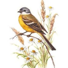 Схема вышивки «Лето»