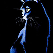 Схема вышивки «На чёрном фоне»