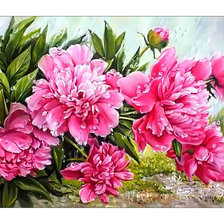 Схема вышивки «Пионы.»