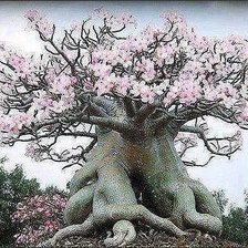 Схема вышивки «дерево»