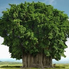 Схема вышивки «дерево»