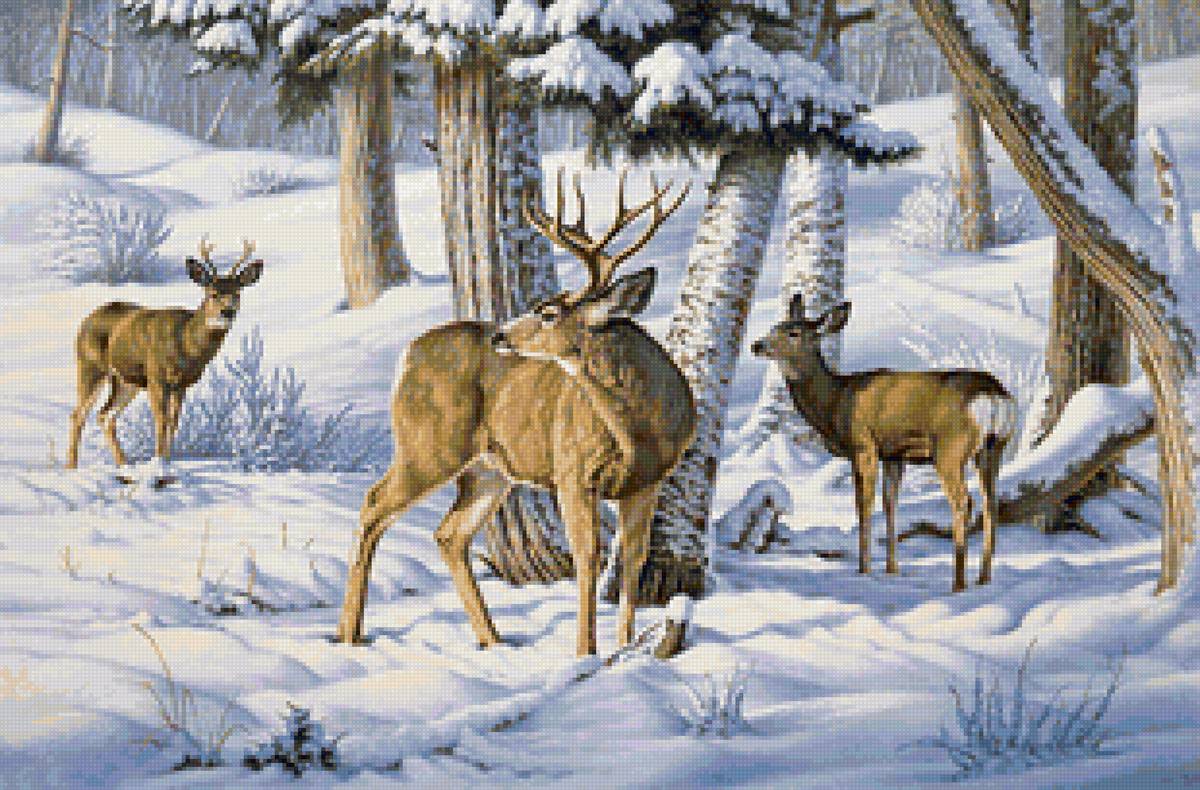 Ясное утро - снег, лес, зима, олени - предпросмотр