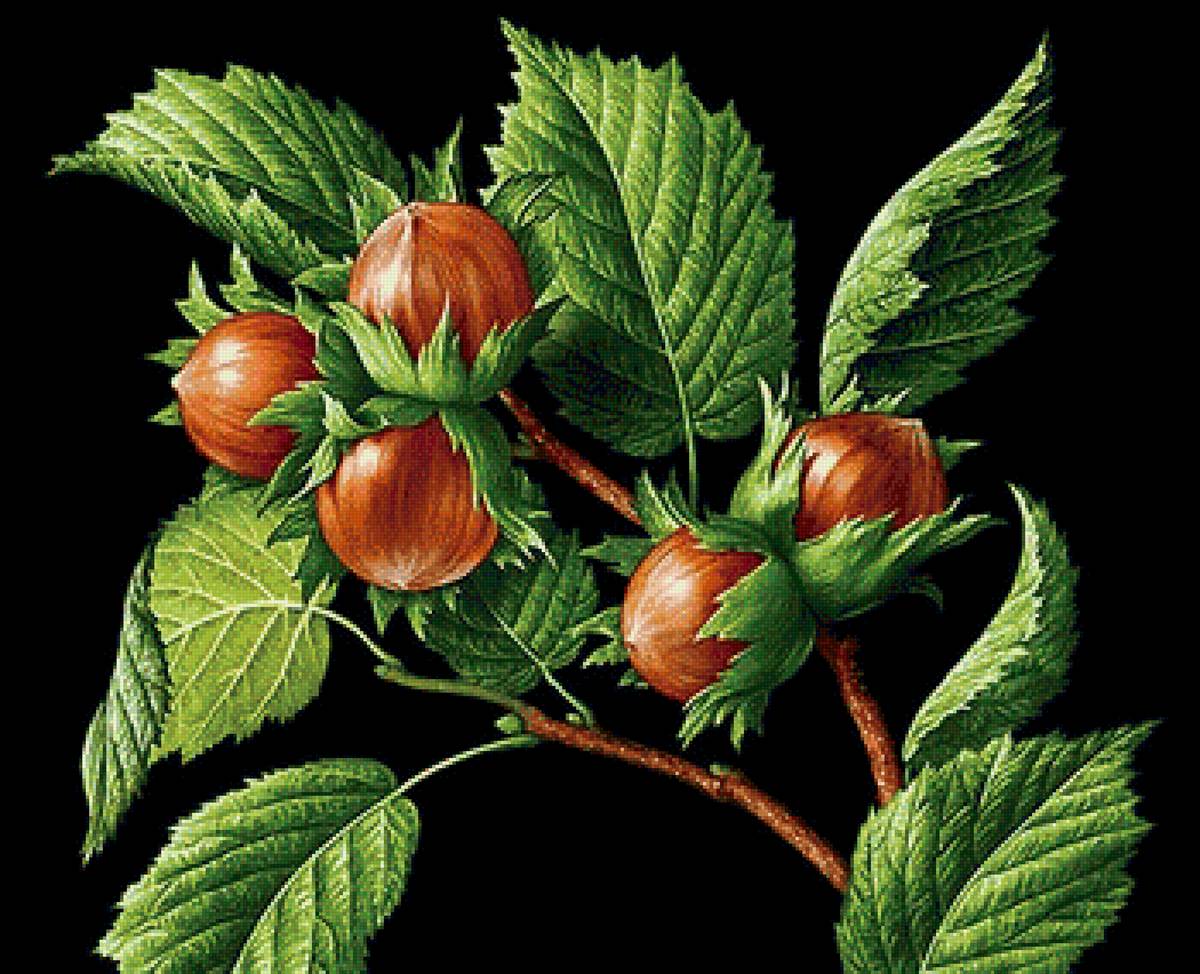 урожай - предпросмотр