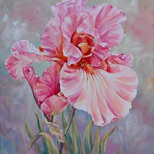 Схема вышивки «цветы»