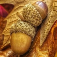 Схема вышивки «желуди»