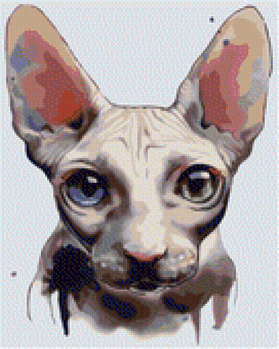 сфинкс - кошка, сфинкс, киска, глазки, кот - предпросмотр