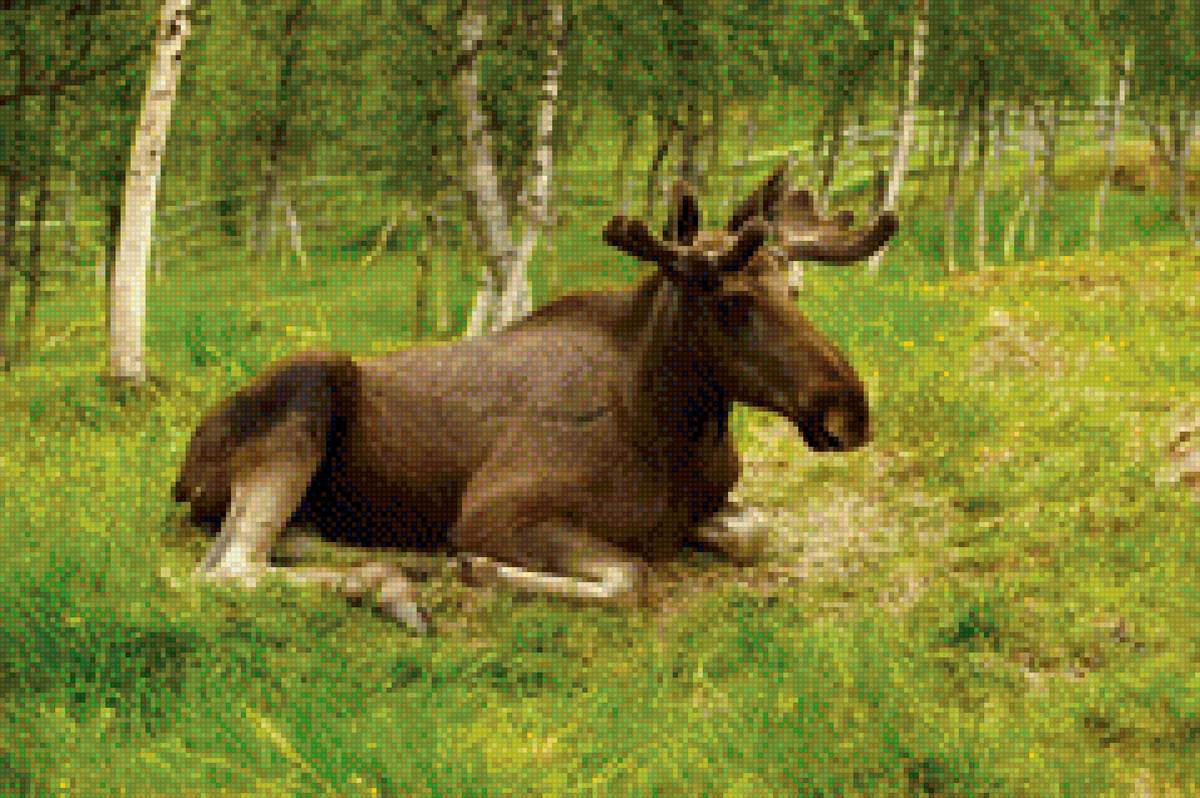 животное - предпросмотр