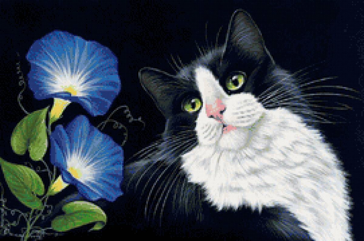 Кот с вьюнками - цветы, вьюнки, кошка, кот - предпросмотр