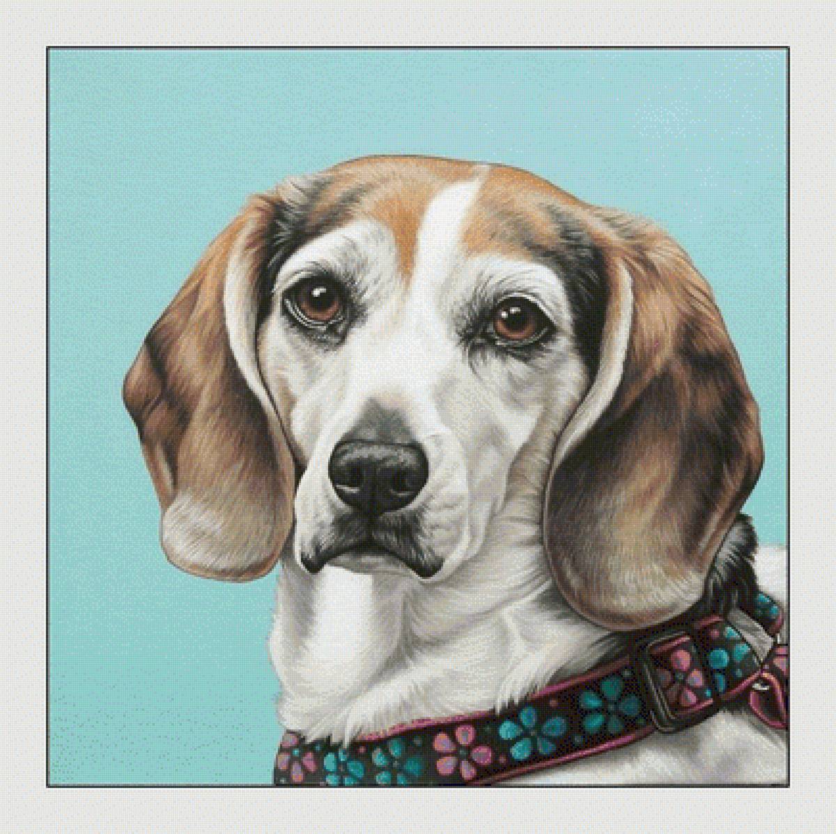 №2062977 - собаки, животные - предпросмотр