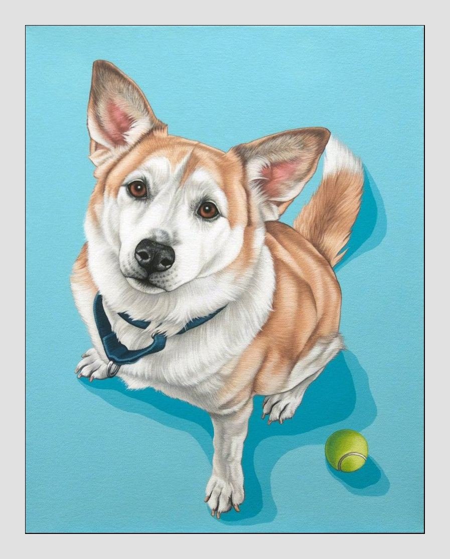 №2062980 - животные, собаки - оригинал