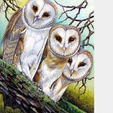 Схема вышивки «№2062996»