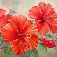 Схема вышивки «цветы»