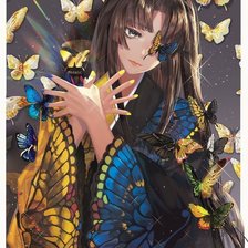 Схема вышивки «Bufterfly Dream»