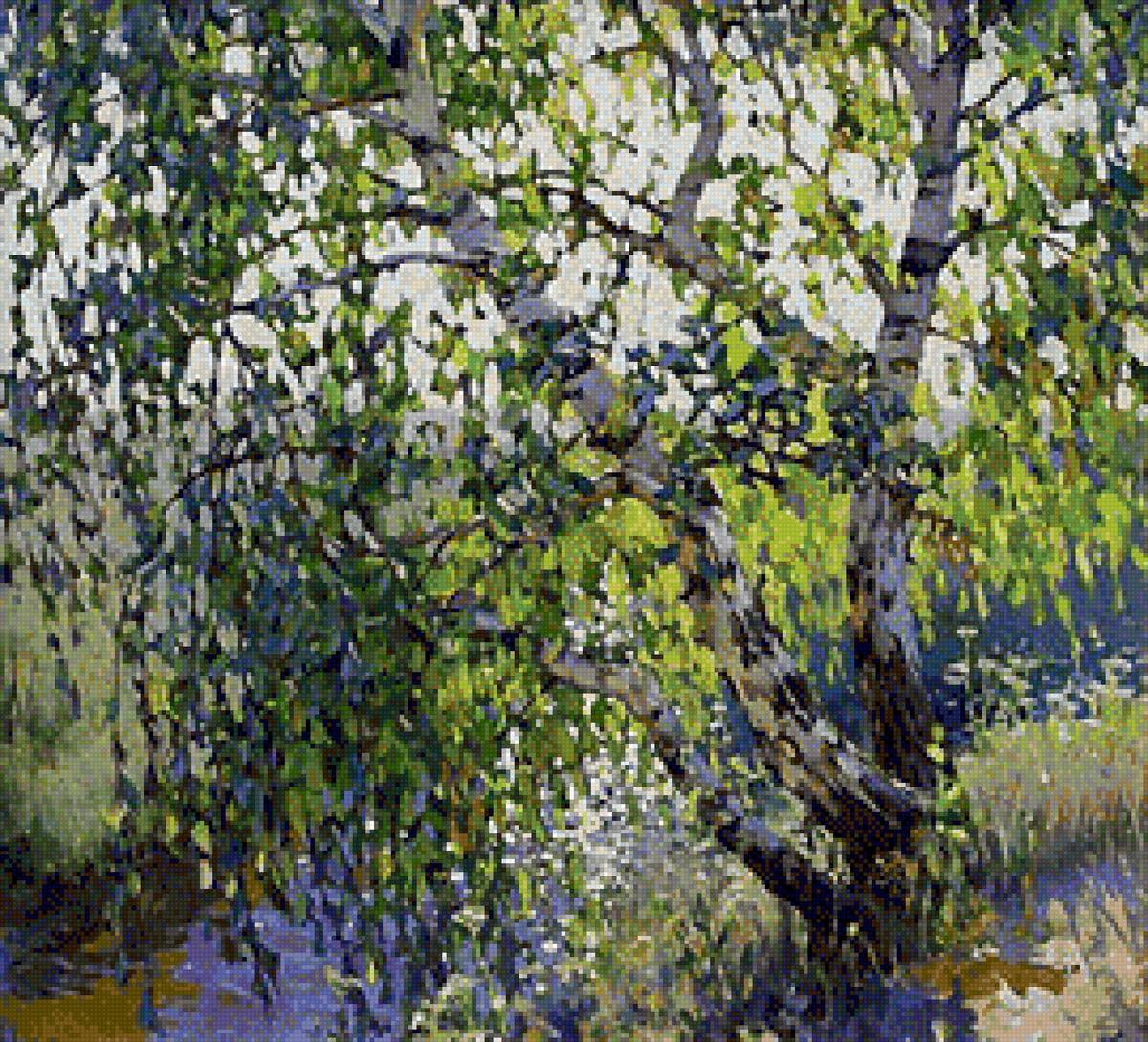 березка - солнечный пейзаж, русский пейзаж, береза - предпросмотр