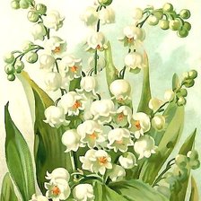 весенние цветы