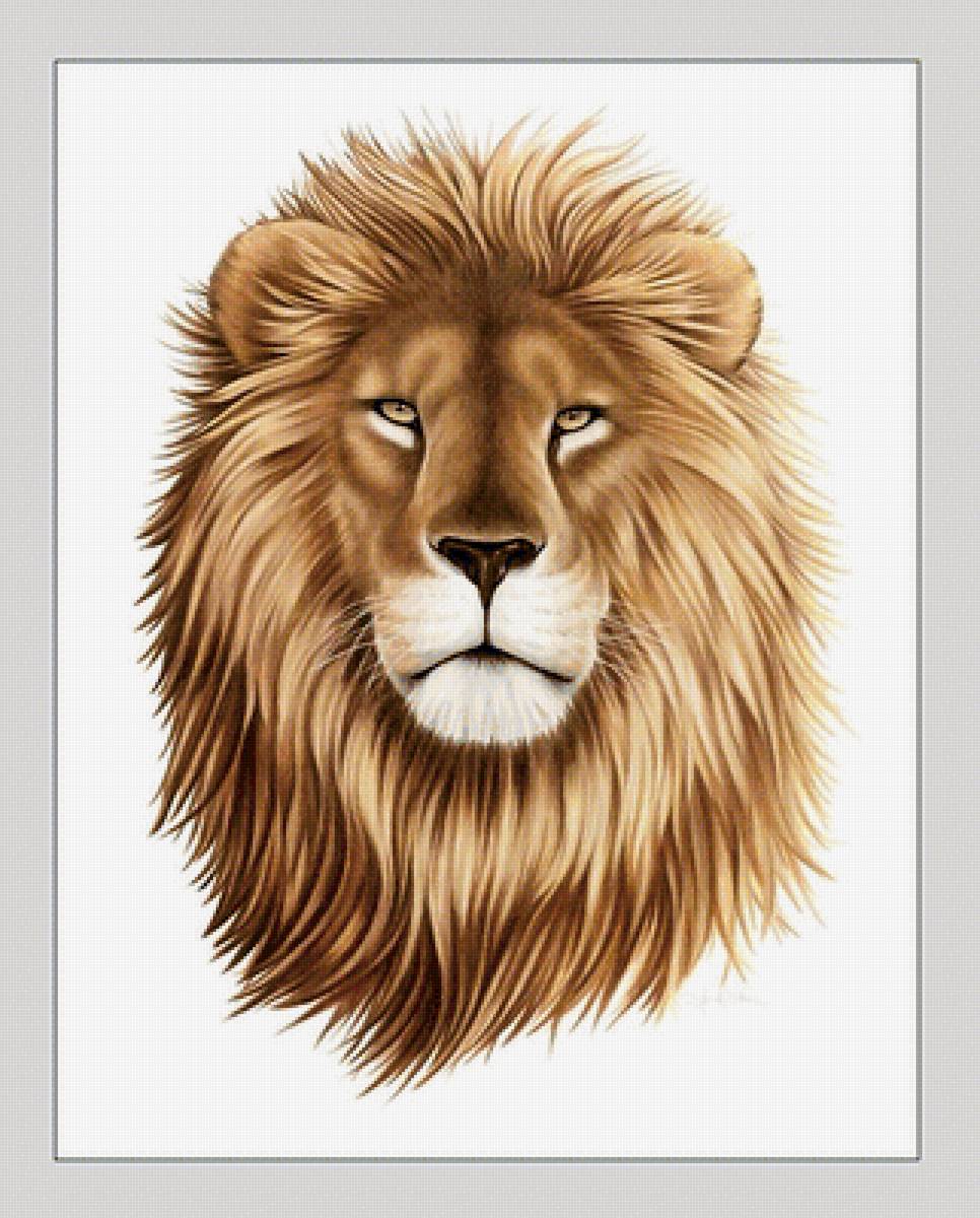 №2063681 - хищники, животные - предпросмотр