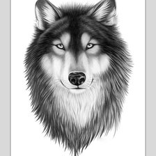 Схема вышивки «№2063687»