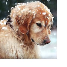 Схема вышивки «№2063773»