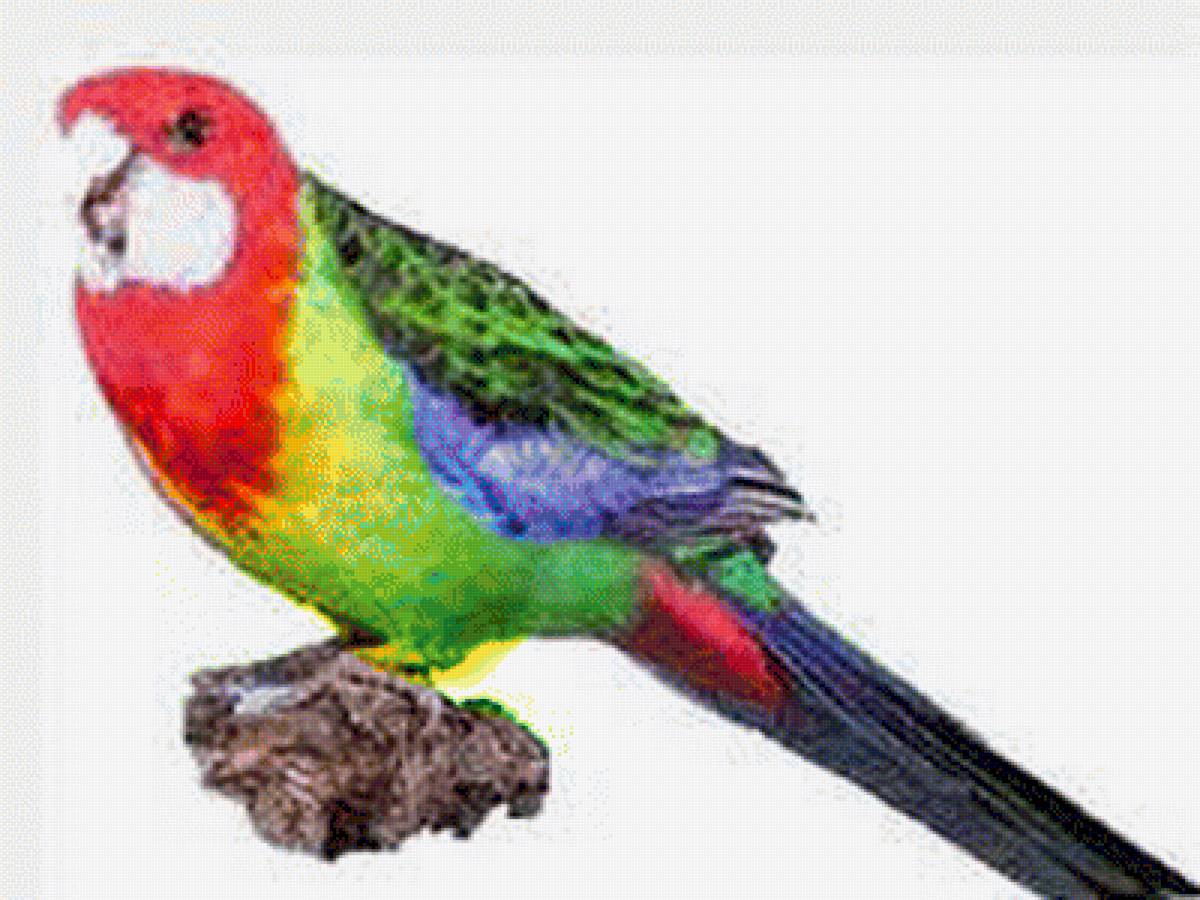 №2063835 - предпросмотр