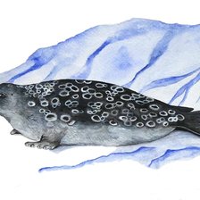 Схема вышивки «тюлень 5»