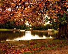 Схема вышивки «№2063937»