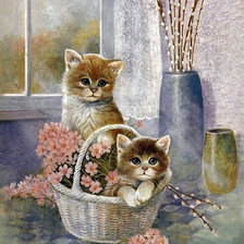 Котята и верба