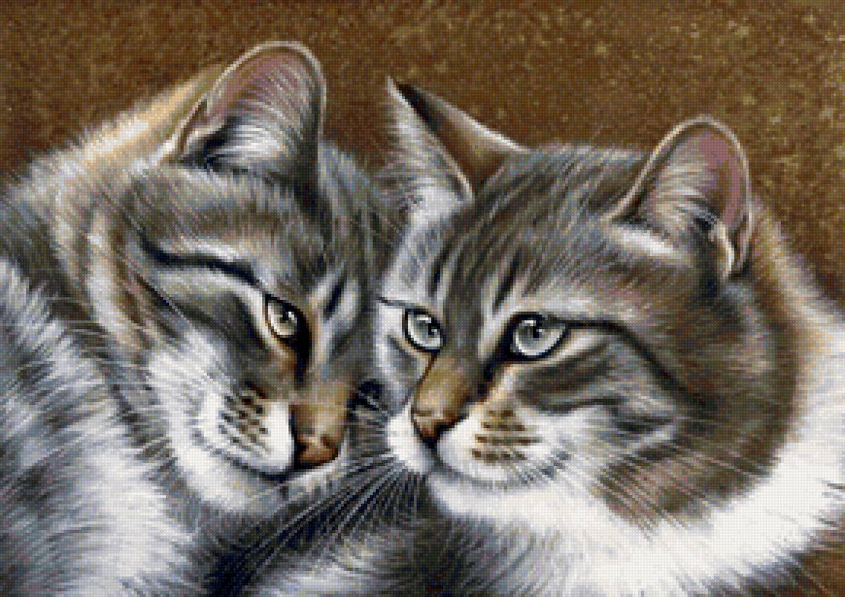 Одна масть - кот, кошка - предпросмотр