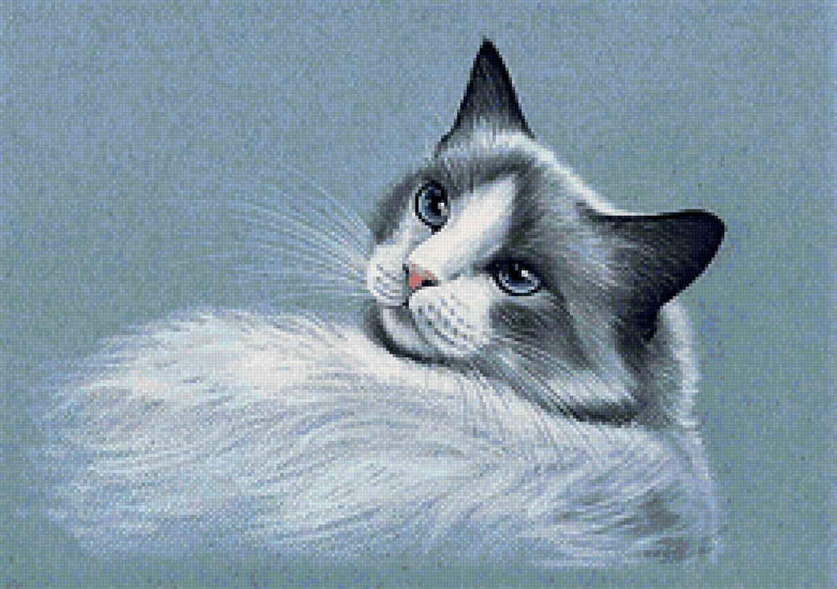 №2064032 - портрет, кошка - предпросмотр