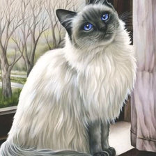 Схема вышивки «Кошечка на окне»