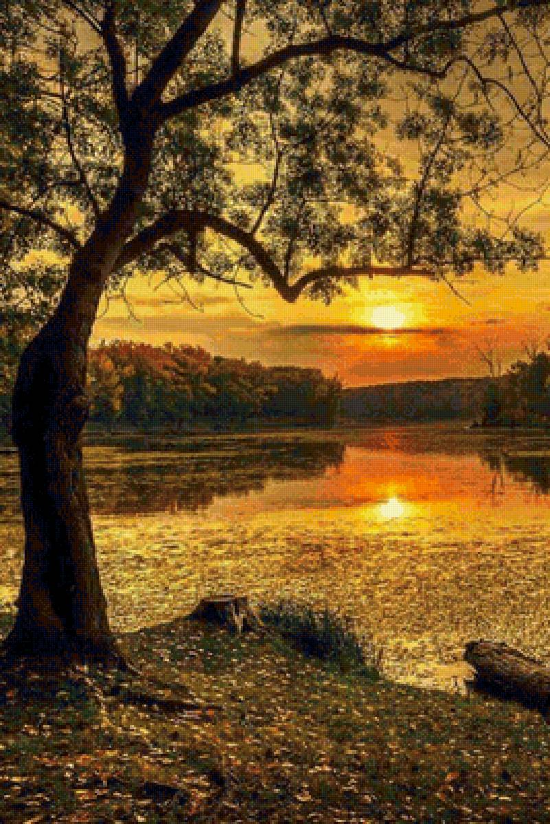 №2064251 - предпросмотр