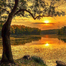 Схема вышивки «№2064251»