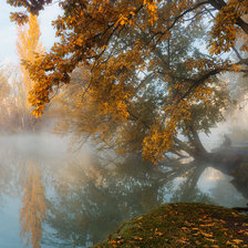 Схема вышивки «Поздняя осень.»