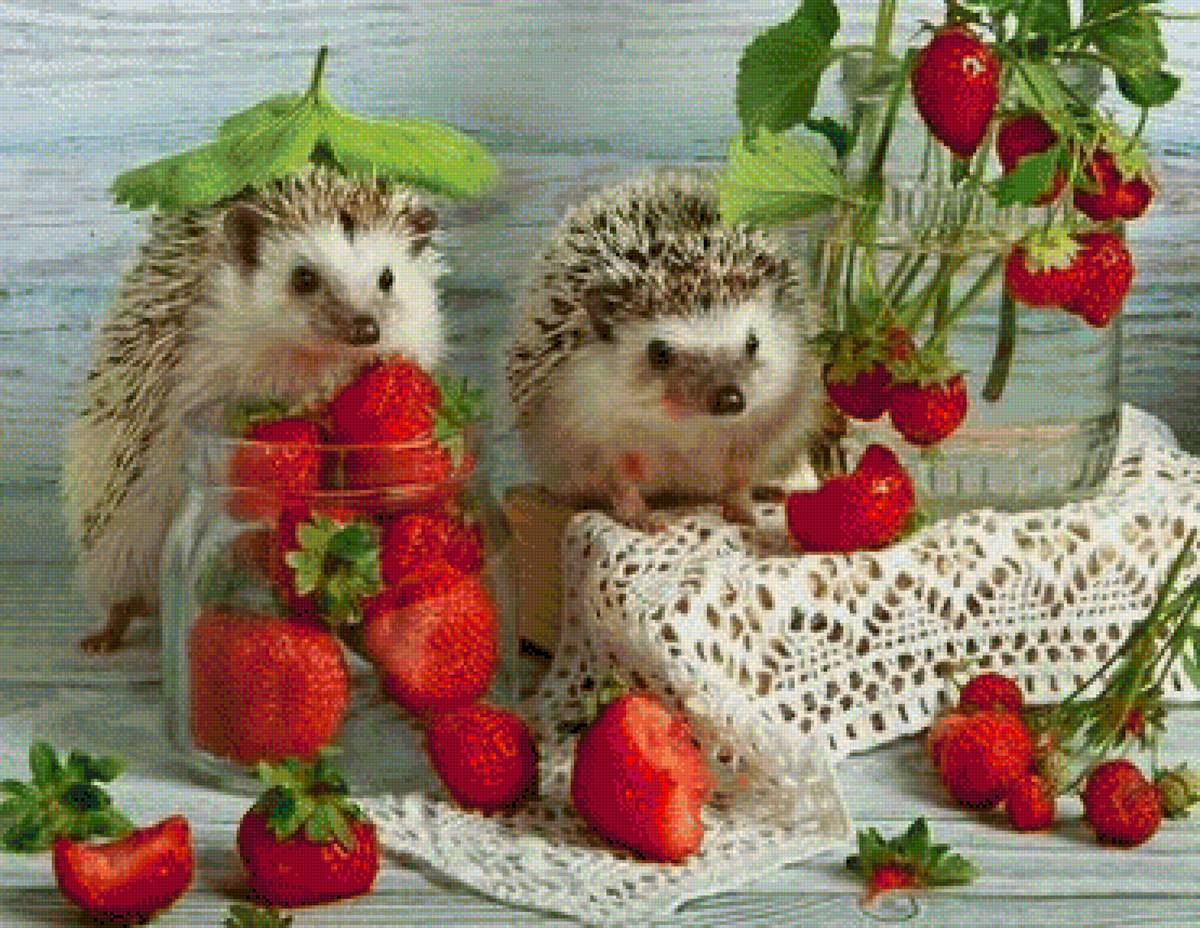 Ежики - ежики, клубника - предпросмотр