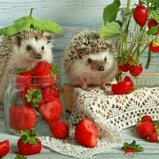 Схема вышивки «Ежики»