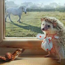 Схема вышивки «Ежик»