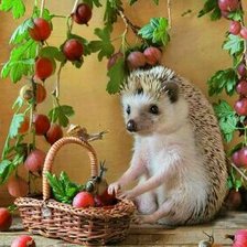 Схема вышивки «Ежик»