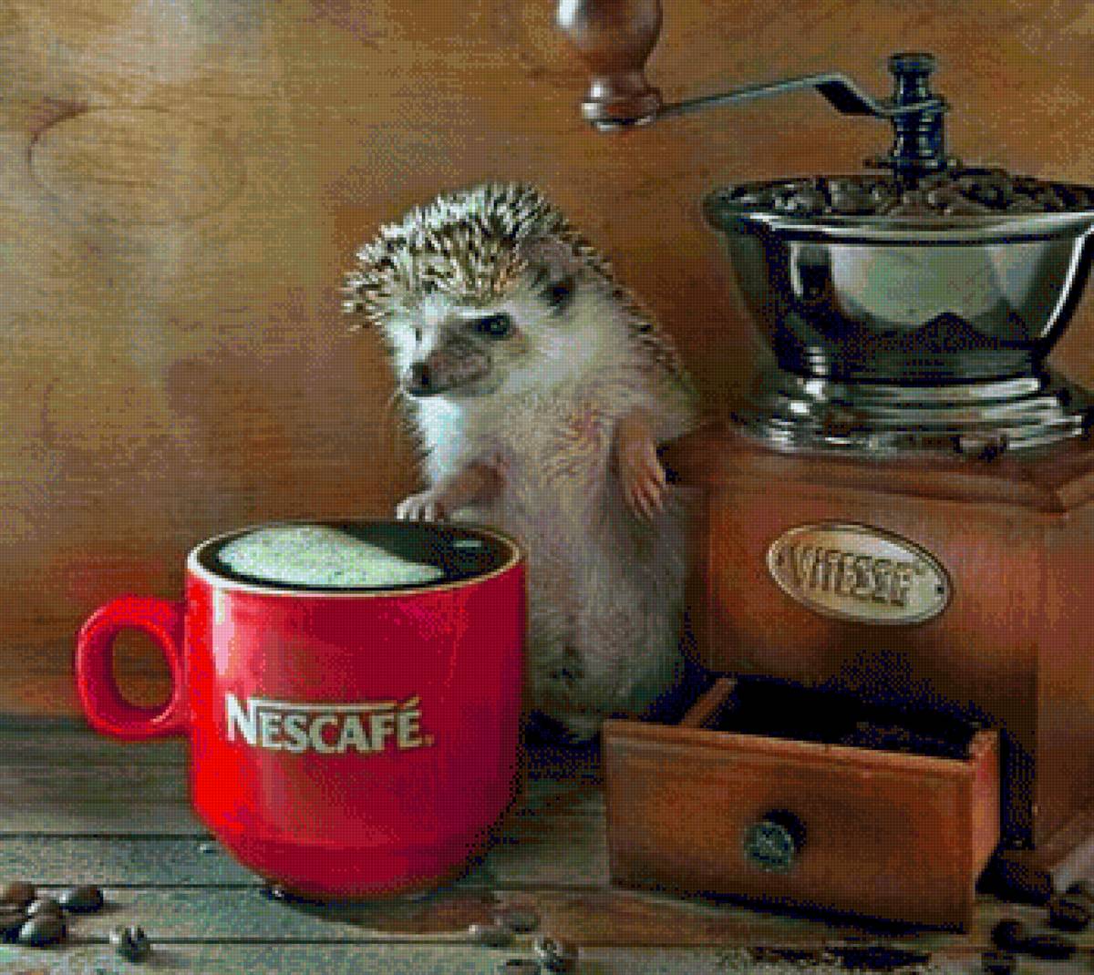 Ежик - кофе, ежик - предпросмотр