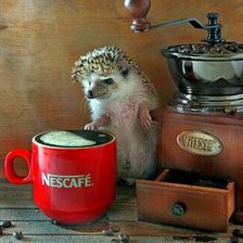 Схема вышивки «Ежик»