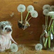 Схема вышивки «Ежик»