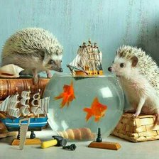 Схема вышивки «Ежики»