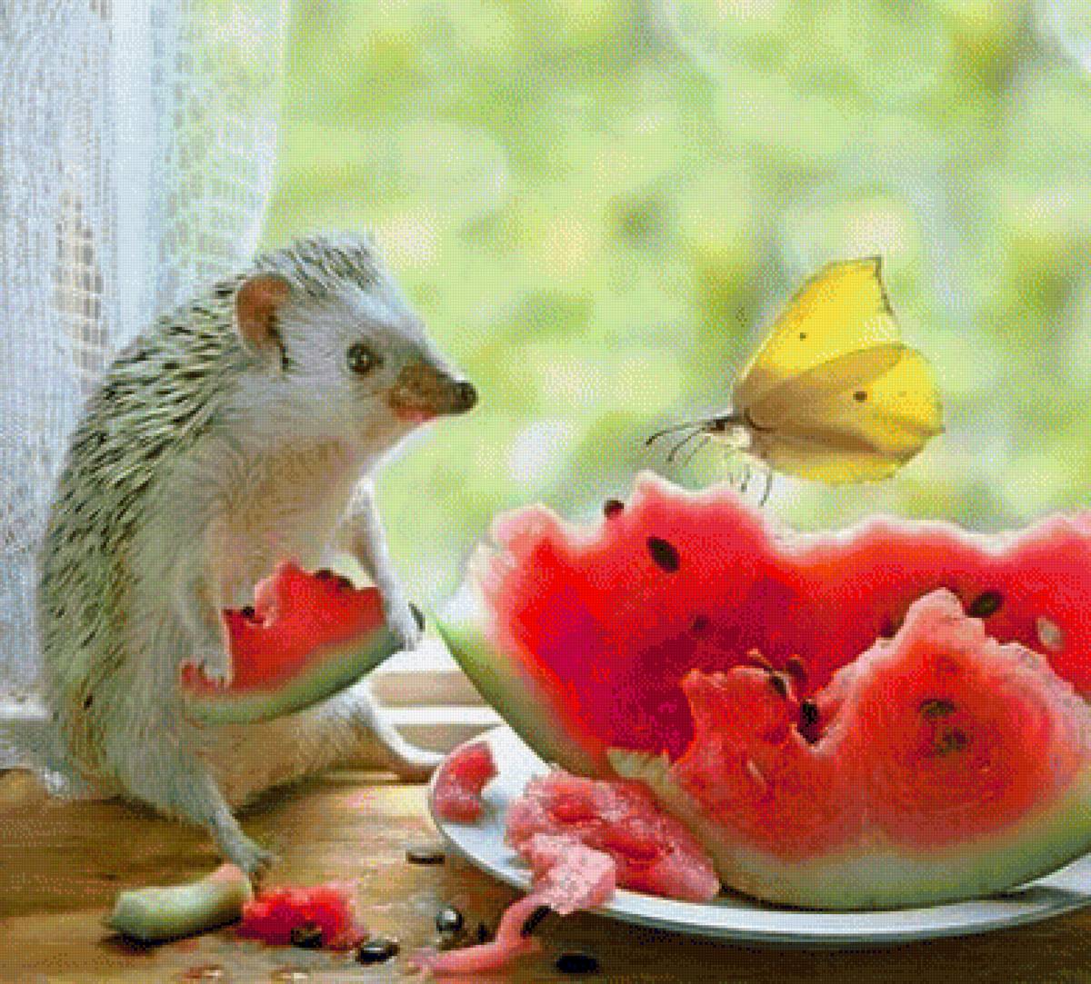 Ежик - бабочка, арбуз, ежик - предпросмотр