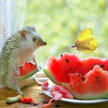 Схема вышивки «Ежик»