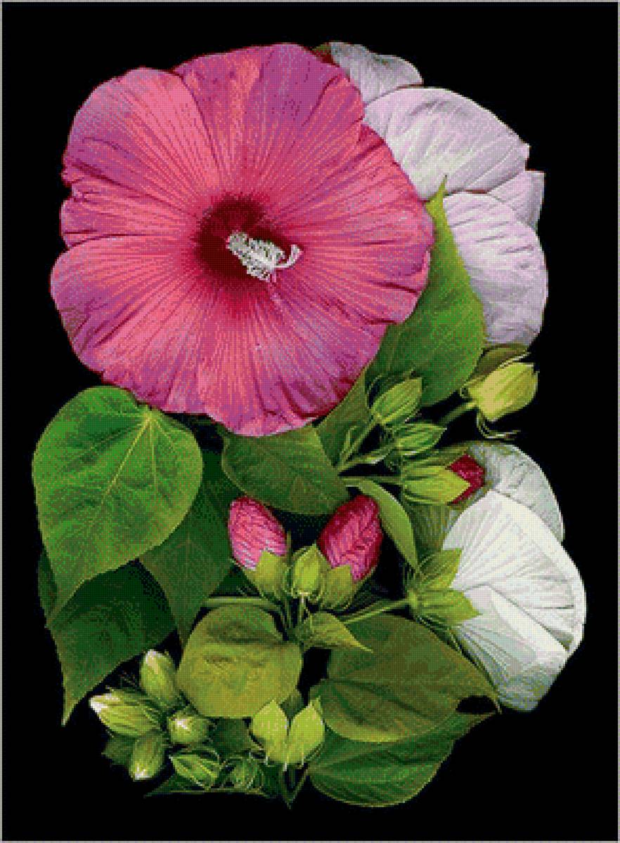 цветы - предпросмотр