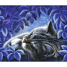 Схема вышивки «Котейка.»